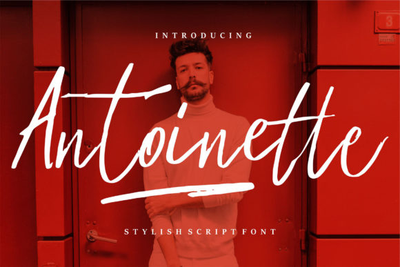 Antoinette: A Charming Font for Handmade Creations