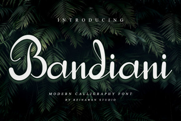 Bandiani: A Script Font with Elegance and Edge