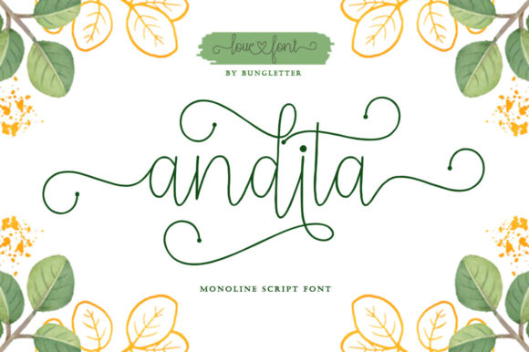 Bring Elegance to Your Creations with Andita Font