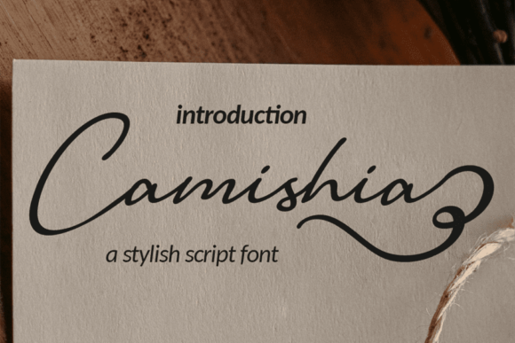 Camishia: A Versatile Script Font for Modern Web Design