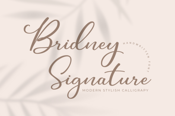 Exploring Bridney Signature: A Versatile Script Font for Branding
