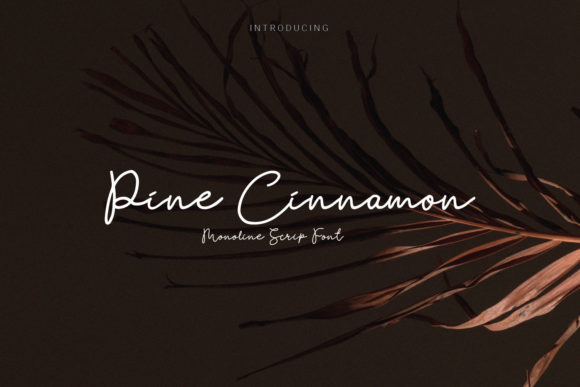 Pine Cinnamon: A Versatile Script Font for Engaging Campaigns